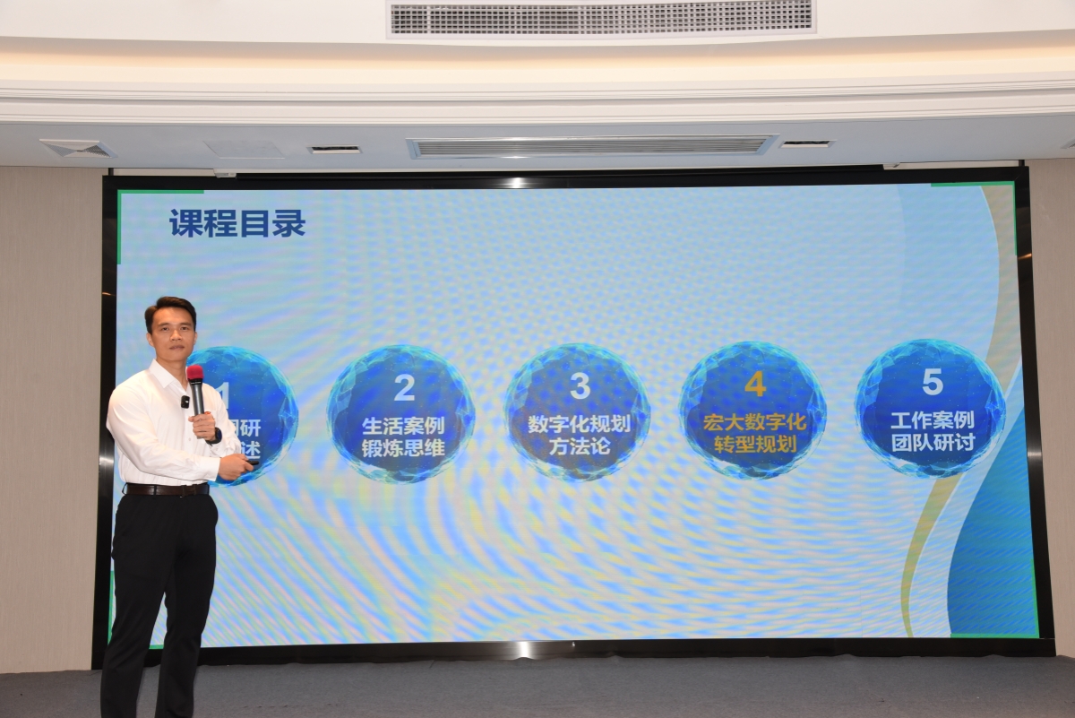 1735817276640304.jpg 6.jpg