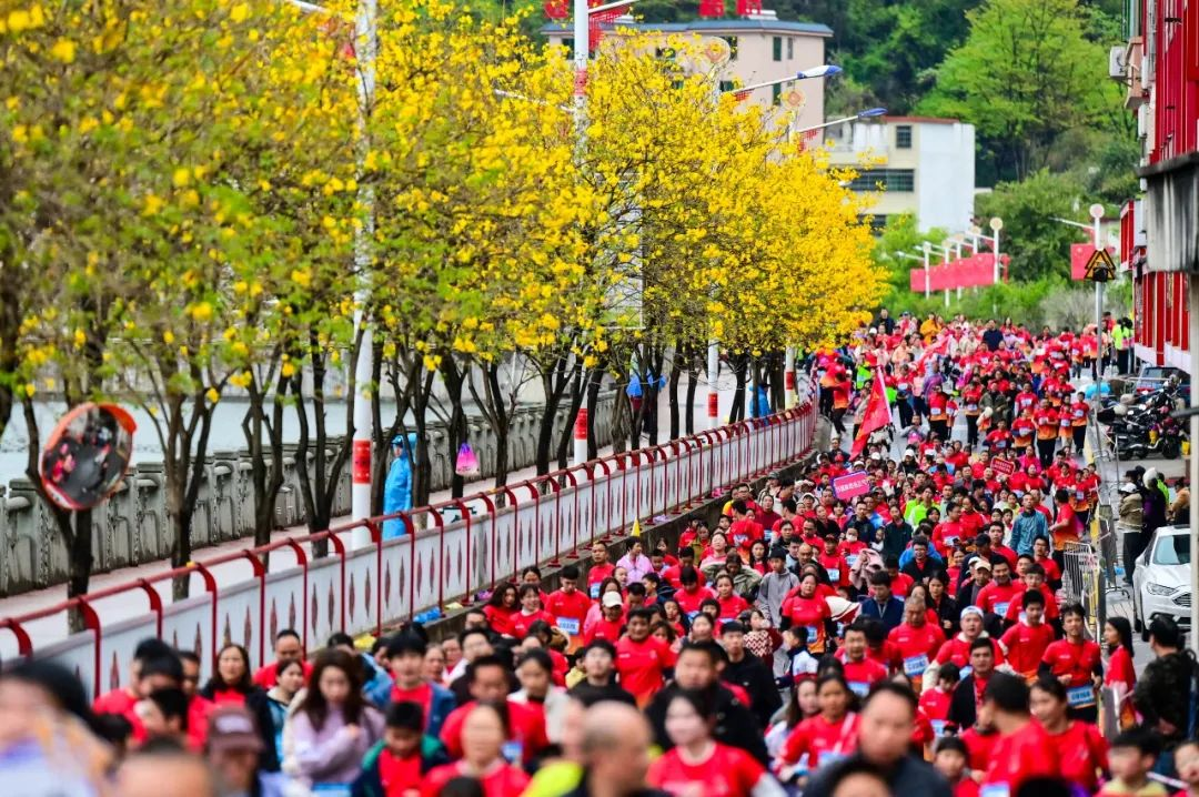 1743576743638505.png image.png