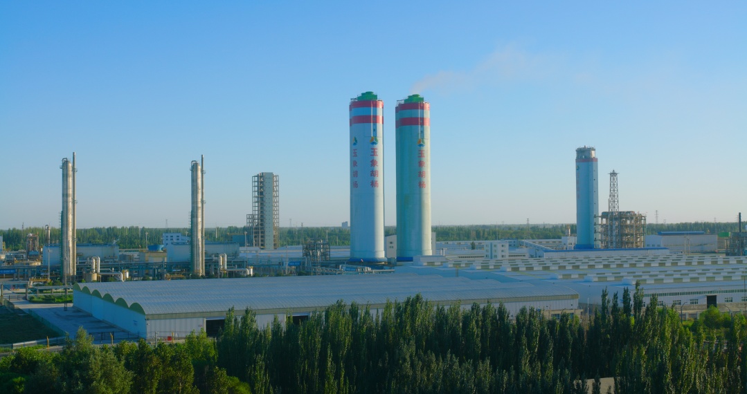 1745824261843035.jpg 玉象胡杨2_副本.jpg