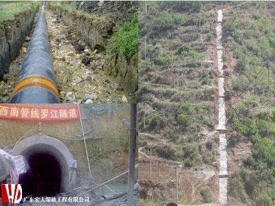 ̫ɼštyc122cc(й)޹˾ - ٶȰٿ