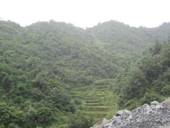 ̫ɼštyc122cc(й)޹˾ - ٶȰٿ