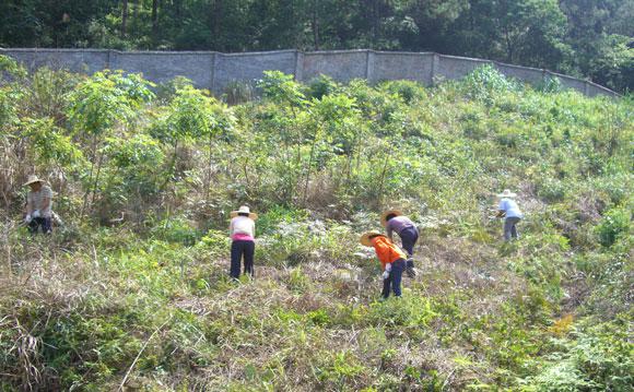 ̫ɼštyc122cc(й)޹˾ - ٶȰٿ